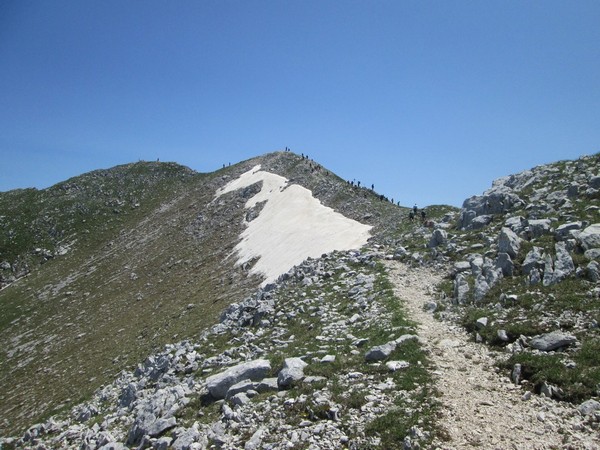 Monte Terminillo Sky Race (Crit. Trail) (30/06/2013) 102