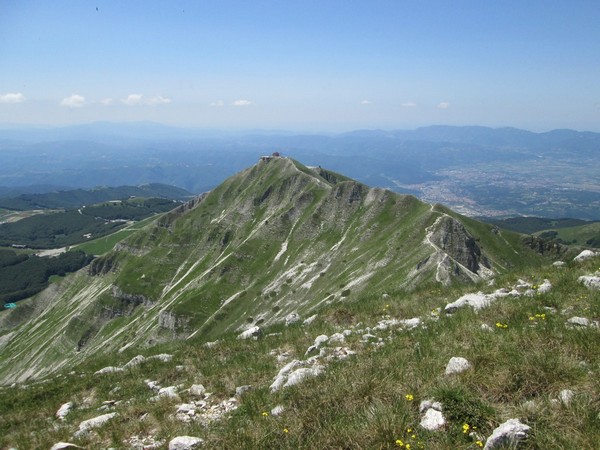 Monte Terminillo Sky Race (Crit. Trail) (30/06/2013) 103