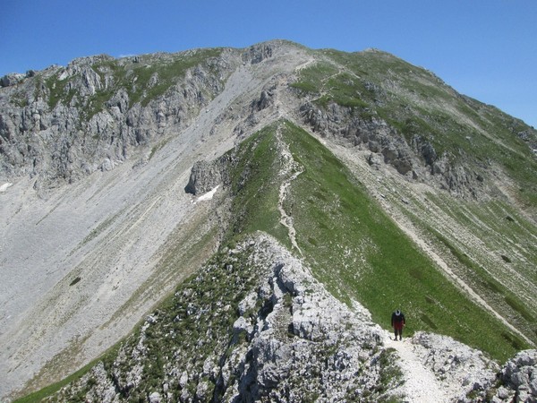 Monte Terminillo Sky Race (Crit. Trail) (30/06/2013) 105