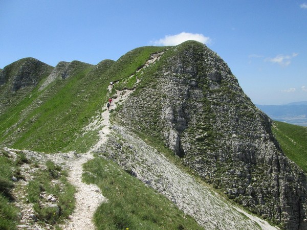 Monte Terminillo Sky Race (Crit. Trail) (30/06/2013) 106