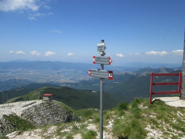 Monte Terminillo Sky Race (Crit. Trail) (30/06/2013) 120