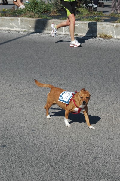 Roma-Ostia (03/03/2013) 126