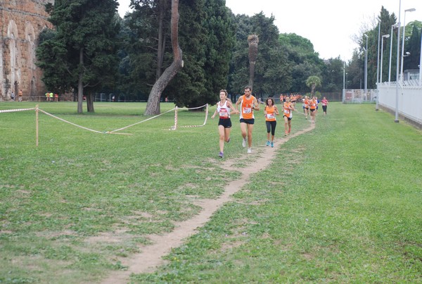 Trofeo Podistica Solidarietà (29/09/2013) 00008