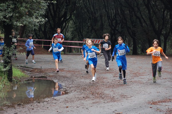 RUNAID's (24/11/2013) 00001