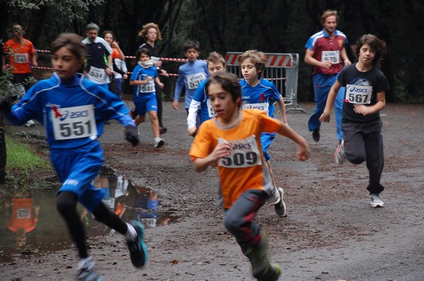 RUNAID's (24/11/2013) 00002