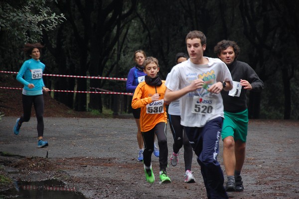 RUNAID's (24/11/2013) 00005