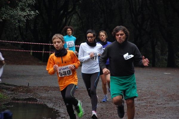 RUNAID's (24/11/2013) 00006