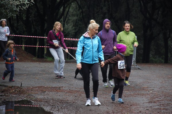 RUNAID's (24/11/2013) 00008