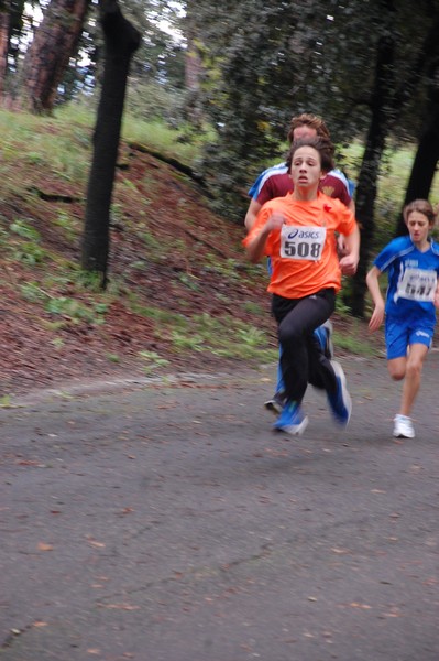 RUNAID's (24/11/2013) 00014