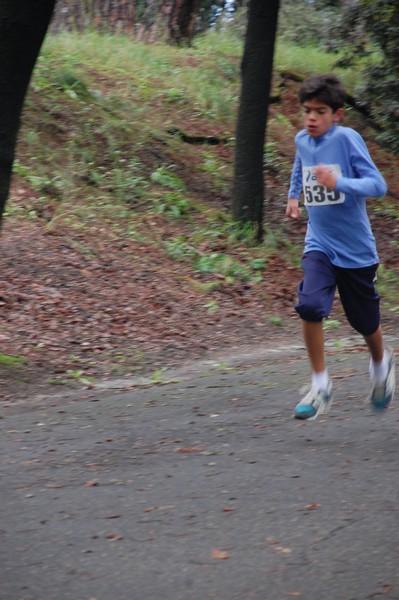 RUNAID's (24/11/2013) 00022