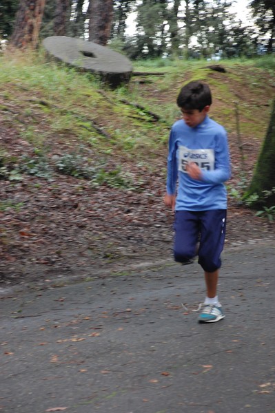RUNAID's (24/11/2013) 00023
