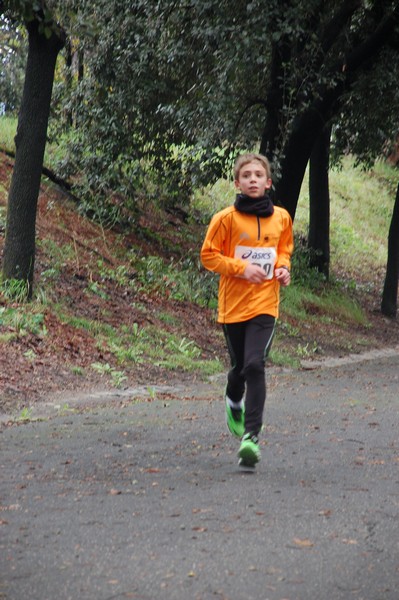 RUNAID's (24/11/2013) 00030