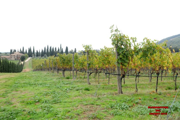 Ecomaratona del Chianti (Crit. Trail) (20/10/2013) 008