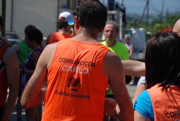 Corriamo con Carlo (16/06/2013) 00084