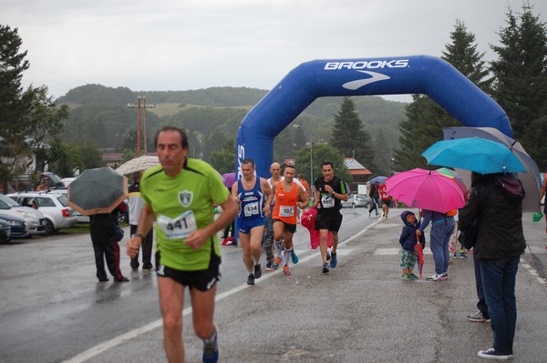 La Speata (C.E., T.S., T.O) (03/08/2014) 00037