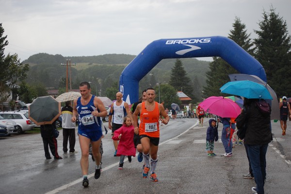 La Speata (C.E., T.S., T.O) (03/08/2014) 00042