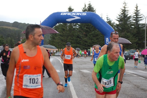 La Speata (C.E., T.S., T.O) (03/08/2014) 00105