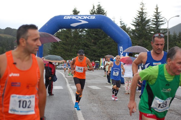 La Speata (C.E., T.S., T.O) (03/08/2014) 00106