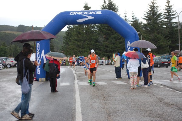 La Speata (C.E., T.S., T.O) (03/08/2014) 00112