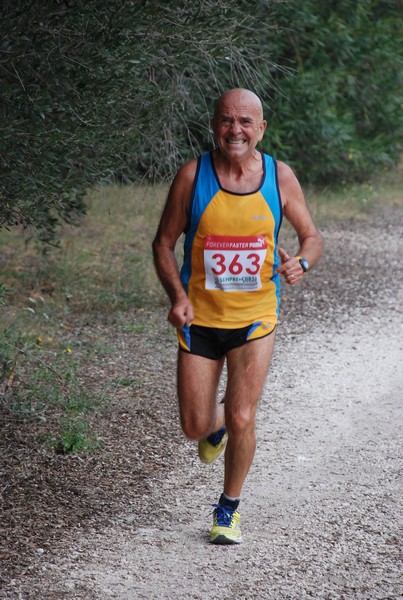 Sulle Orme di Adriano (12/10/2014) 00055