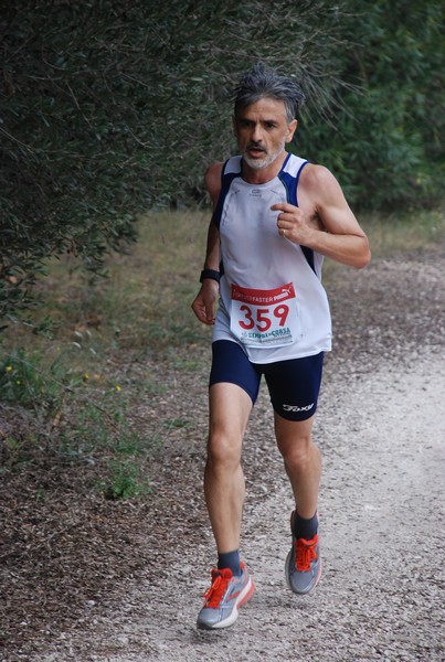 Sulle Orme di Adriano (12/10/2014) 00072