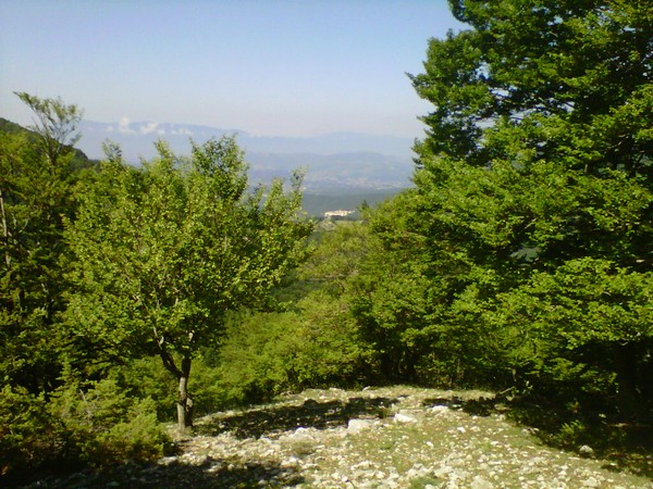 Ernica SkyRace3*2K (22/06/2014) 00028