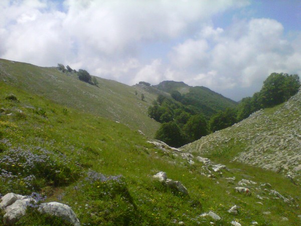 Ernica SkyRace3*2K (22/06/2014) 00031