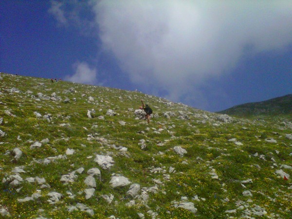 Ernica SkyRace3*2K (22/06/2014) 00033