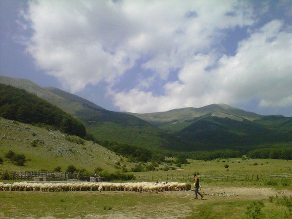 Ernica SkyRace3*2K (22/06/2014) 00044