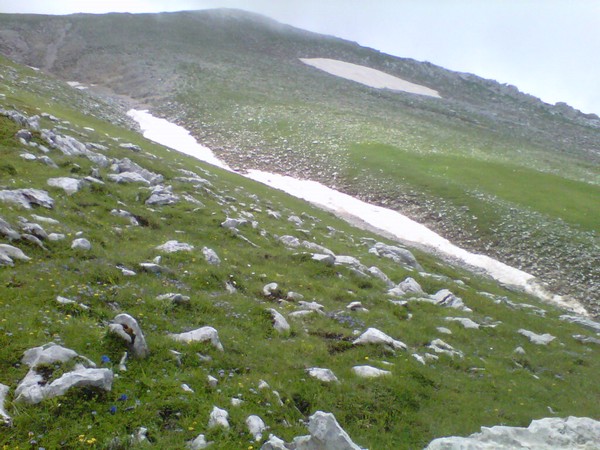 Ernica SkyRace3*2K (22/06/2014) 00048