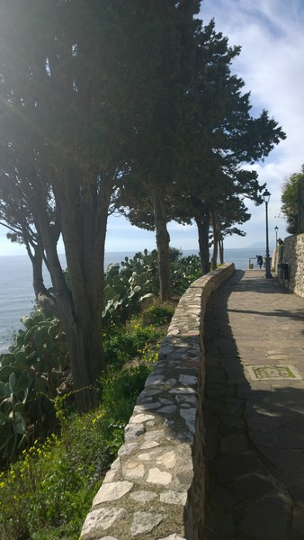 Corrisperlonga (23/02/2014) 013