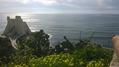 Corrisperlonga (23/02/2014) 014
