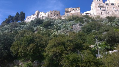 Corrisperlonga (23/02/2014) 018