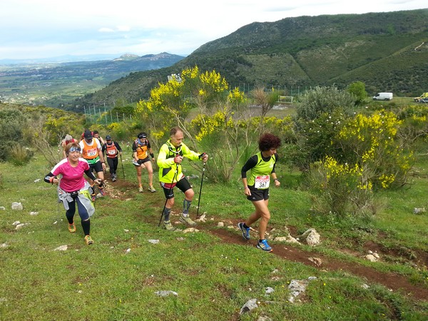 Tibur ecomaratona [Crit. Trail] (04/05/2014) 00005