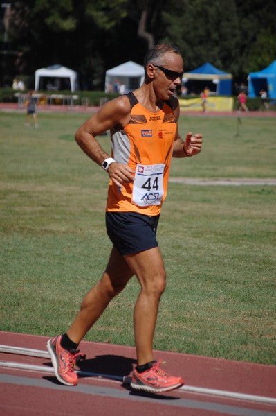 Staffetta 12 x 1 ora (C.E.) (13/09/2014) 00039