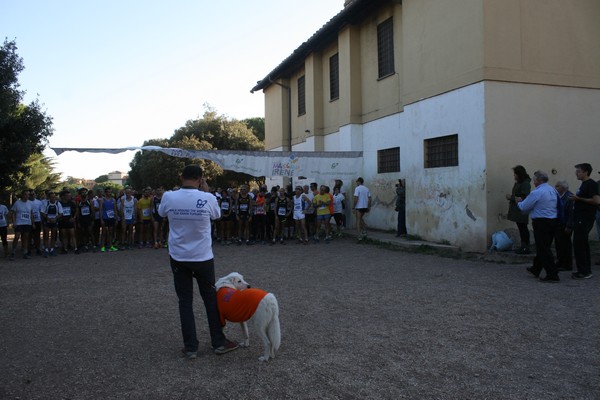 Corri al Massimo per Irene (25/10/2014) 013