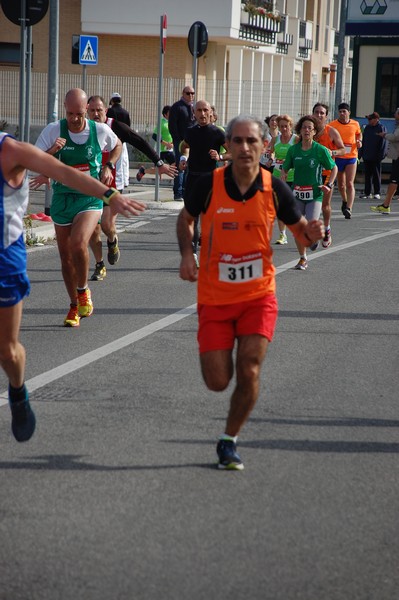 Corriamo al Collatino (23/02/2014) 00059