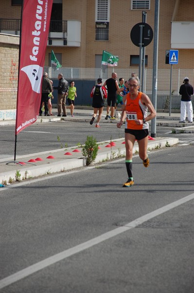 Corriamo al Collatino (23/02/2014) 00072