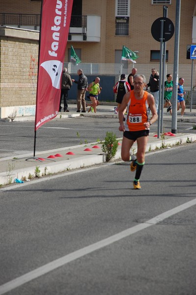 Corriamo al Collatino (23/02/2014) 00073