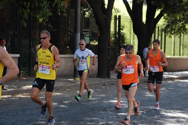 Race For The Cure (18/05/2014) 00031