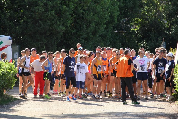 Corri per il Bambino Gesù (non competitiva) (C.E.) (22/06/2014) 00001