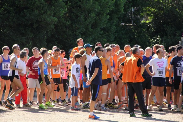 Corri per il Bambino Gesù (non competitiva) (C.E.) (22/06/2014) 00002