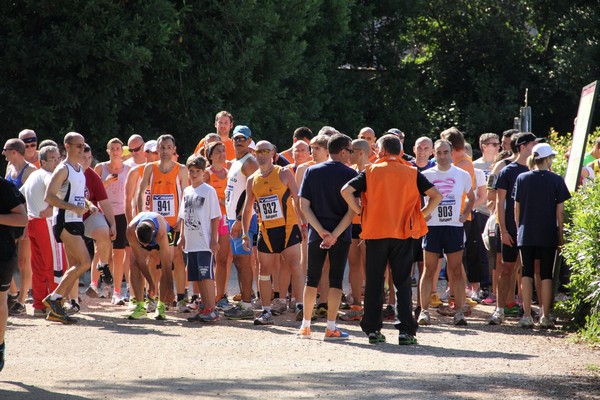 Corri per il Bambino Gesù (non competitiva) (C.E.) (22/06/2014) 00004