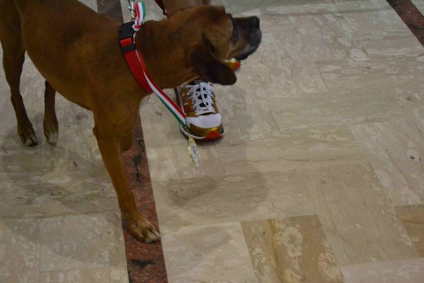 Maratona di Latina Provincia (07/12/2014) 034