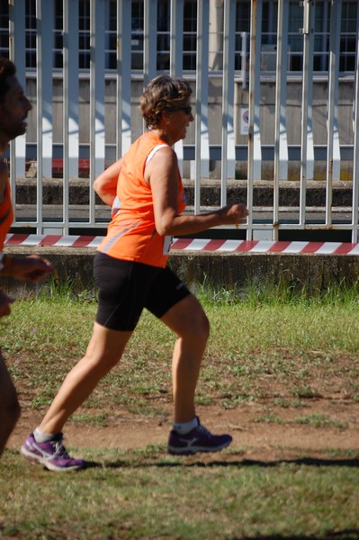 Trofeo Podistica Solidarietà (28/09/2014) 00008