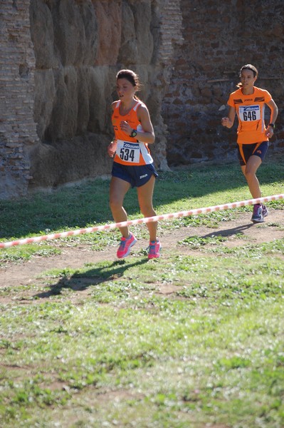 Trofeo Podistica Solidarietà (28/09/2014) 00044