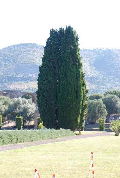 Corsa delle 3 Ville (C.E.) (14/09/2014) 00007