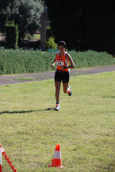 Corsa delle 3 Ville (C.E.) (14/09/2014) 00106
