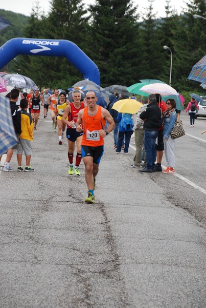 La Speata (C.E., T.S., T.O) (03/08/2014) 00012