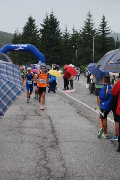La Speata (C.E., T.S., T.O) (03/08/2014) 00058